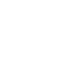 X (twitter) icon